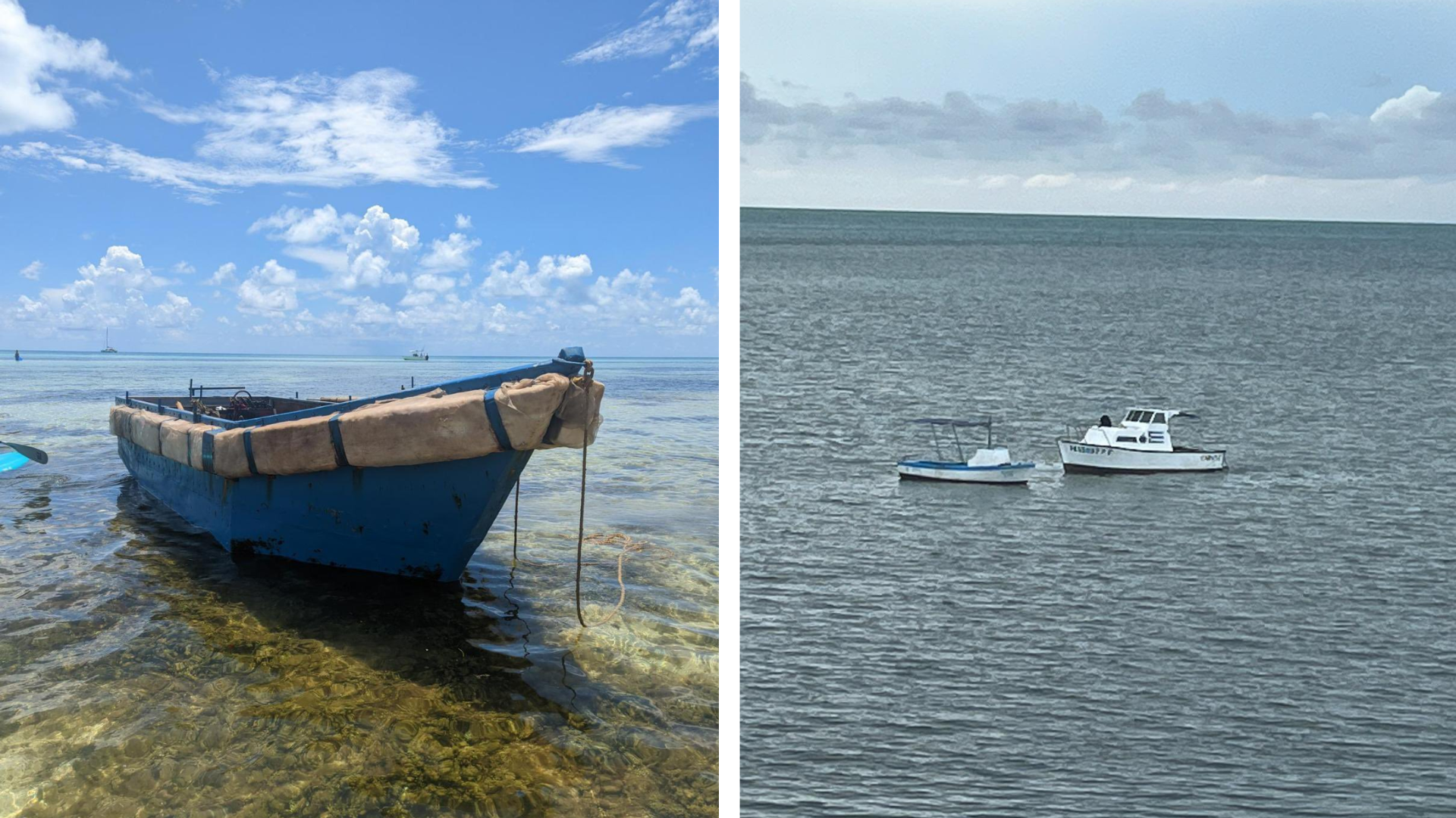 Reportan múltiples desembarcos en Cayo Hueso 